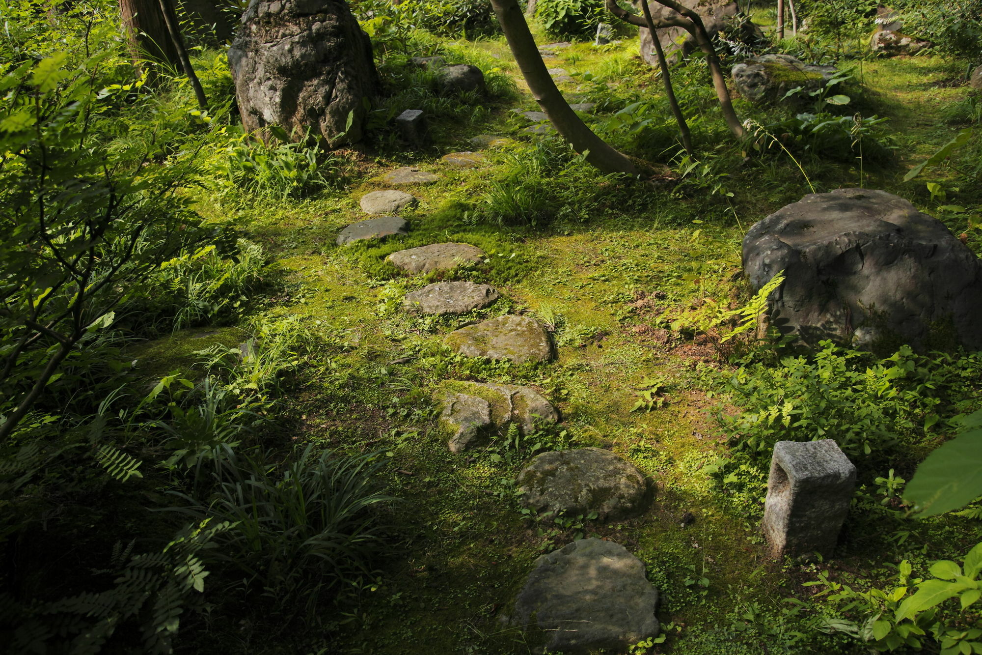 Hakusan Ichirino Kogen Hotel Roan מראה חיצוני תמונה