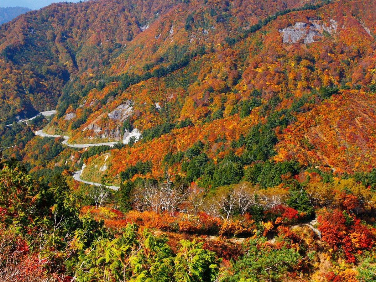 Hakusan Ichirino Kogen Hotel Roan מראה חיצוני תמונה